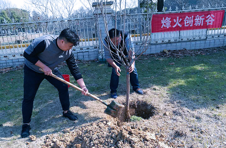 阳春三月，植树护绿，智云集思在行动