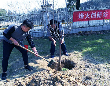 团建活动